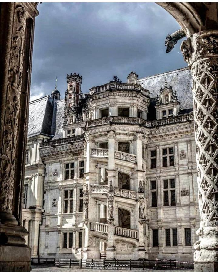 Appartement Porte Chartraine Blois Exterior foto